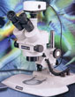 Digital Usb Microscope