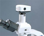 biological research microscopes