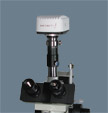 EMStereo-digital-microscope PHOTOMICROGRAPHY