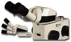 EMStereo-digital-microscope ergonomic head